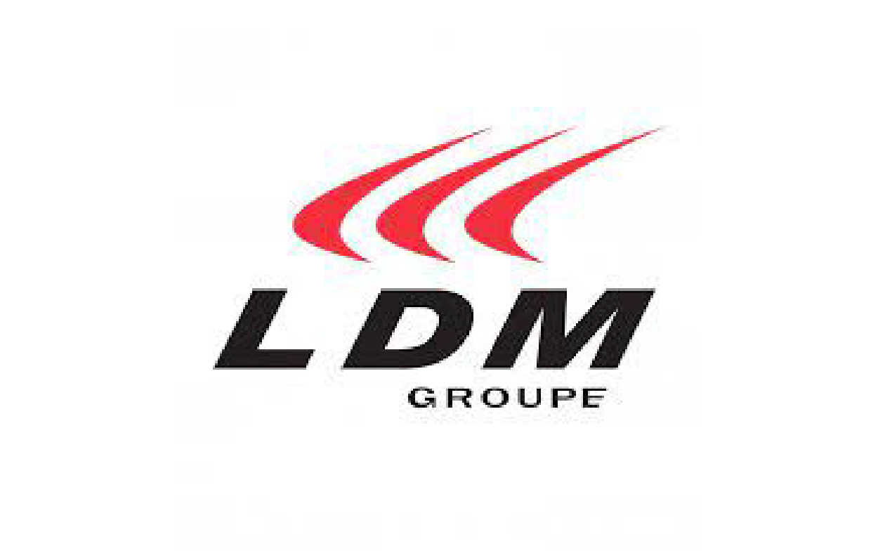 LDM GROUPE